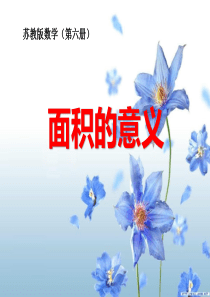 《面积的含义》长方形和正方形的面积PPT课件9