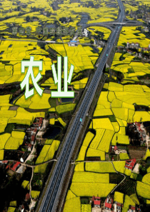 《农业》中国的经济发展PPT课件6