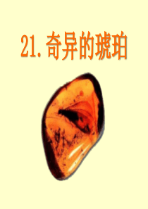 《奇异的琥珀》PPT课件