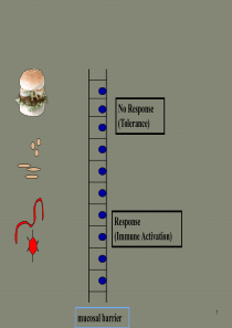 8年制-粘膜免疫