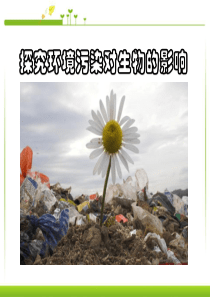 《探究环境污染对生物的影响》人类活动对生物圈的影响PPT课件6