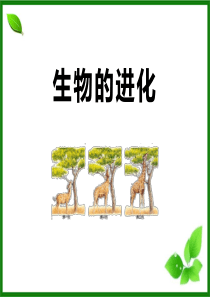 《生物的进化》PPT课件