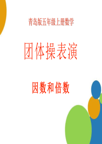 《团体操表演》PPT课件7