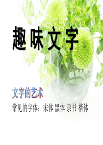 《趣味文字》PPT课件8