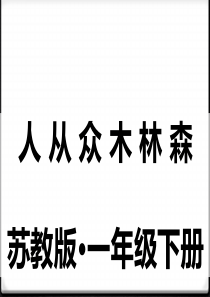 《人从众木林森》PPT