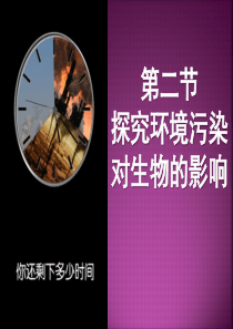 《探究环境污染对生物的影响》人类活动对生物圈的影响PPT课件5