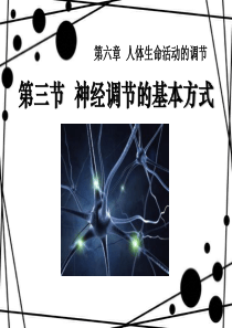 《神经调节的基本方式》人体生命活动的调节PPT课件88