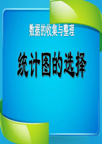 《统计图的选择》数据的收集与整理PPT课件8