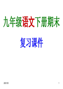 九年级语文下册复习总结课件