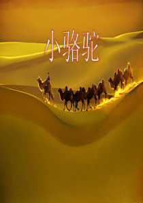 《小骆驼》PPT课件