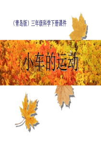 《小车的运动》PPT9