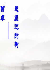 《悬崖边的树》PPT88