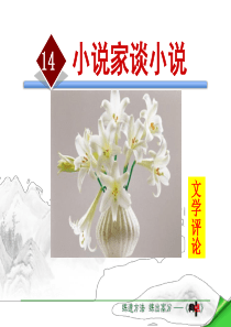 《小说家谈小说》PPT