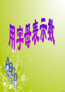 《用字母表示数》方程PPT课件