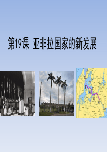 《亚非拉国家的新发展》PPT