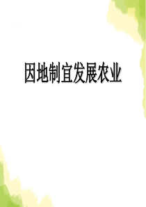 《因地制宜发展农业》PPT