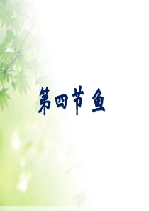 《鱼》动物的主要类群PPT课件8