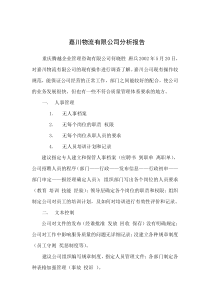 嘉川物流有限公司分析报告(1)