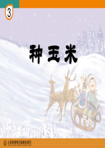 《种玉米》PPT课件7