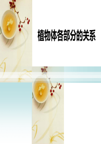 《植物体各部分的关系》植物的生命系统PPT课件