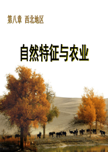 《自然特征与农业》西北地区PPT课件9