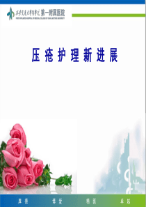 压疮护理新进展的课件