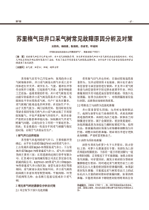 苏里格气田井口采气树常见故障原因分析及对策