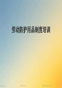 劳动防护用品制度培训