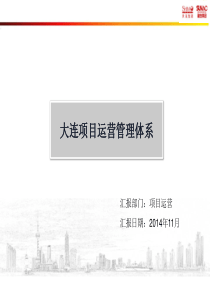 大连项目运营管理体系策划V10(1127终稿)