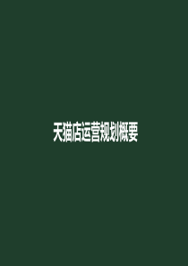 天猫店运营规划概要