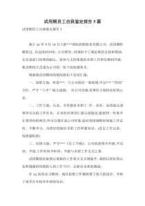 试用期员工自我鉴定报告5篇