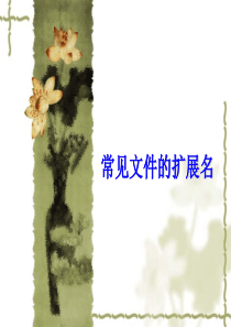 常见的扩展名和类型