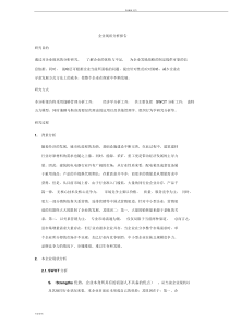 企业现状分析报告