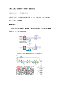 细胞生物学简答题整理