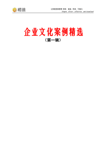 企业文化案例精选