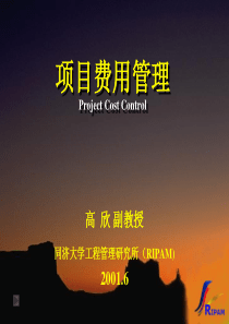 dCC项目费用管理