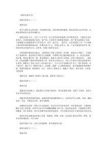 我的乐园作文20篇-我的乐园作文