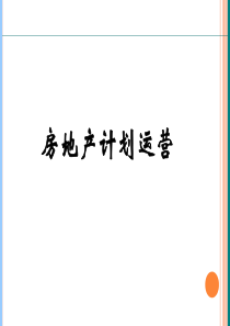 房地产企业运营计划