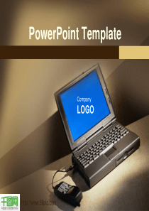 稳定大气商务PPT模板