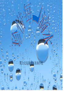 小学四年级综合实践活动课件