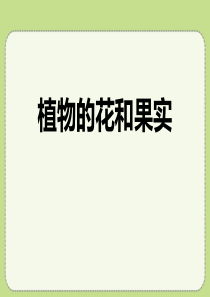 2016秋青岛版科学(五四制)四上第5课《植物的花和果实》ppt课件