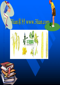 健康生活PPT模板