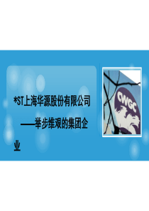 ST上海华源股份有限公司财务管理分析-举步维艰的集团企业