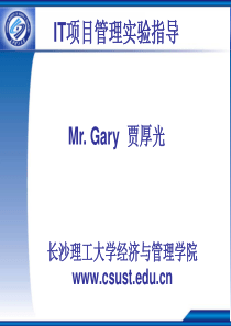 IT项目管理实验指导