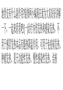 地骨皮有什么副作用