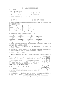 2013年初一数学下学期期末模拟试题(B)