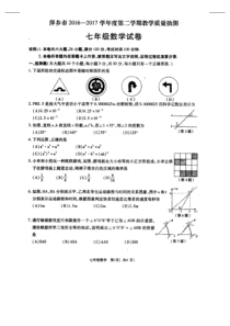 江西省萍乡市2016-2017学年七年级下期末数学试题有答案
