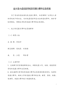 金乡县大成实验学校防范暴力事件应急预案