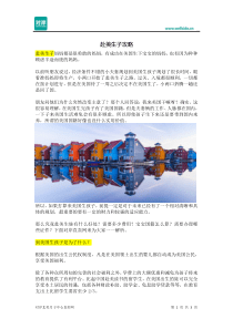 赴美生子攻略