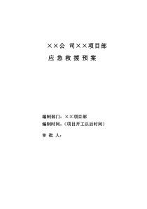 项目预案(塔吊应急预案)